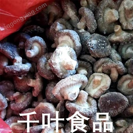 大量销售速冻香菇粒 冷冻果蔬加工出口 千叶冷冻香菇粒
