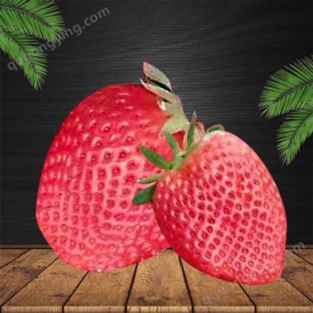 厂家货源冷冻草莓 速冻水果果粒果丁榨汁浆果 环保优质选材