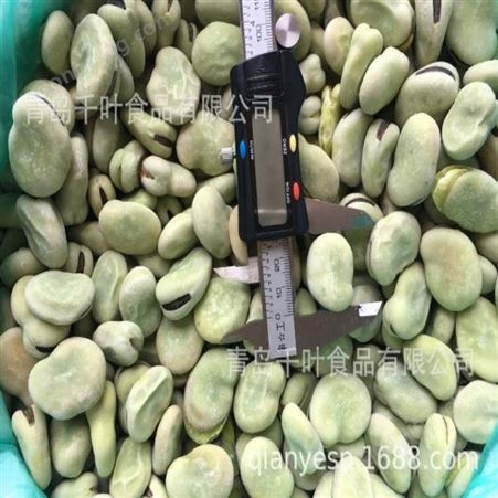 出口级优质冷冻蚕豆粒 千叶食品 供应商直销
