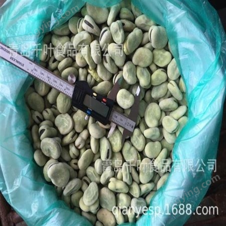 出口级优质冷冻蚕豆粒 千叶食品 供应商直销