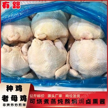 老母鸡6只-14只_农家散养500天左右的老鸡_有路食品_月子鸡盐焗鸡二次加工制品