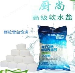 厨尚软水盐离子交换树脂再生剂10KG哈尔滨食品级软化盐锅炉软水机盐