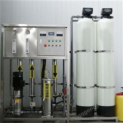 反渗透纯净水处理设备 edi超纯水工业净水设备