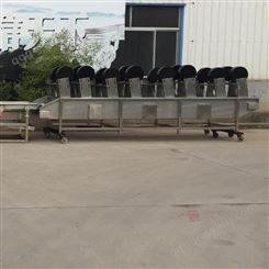斯格数控风干流水线 风干清洗后的蔬菜 SG-4M 优质厂家