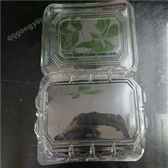 广东吸塑包装 插卡吸塑 PVC材质 透明塑料包装盒 定制厂家