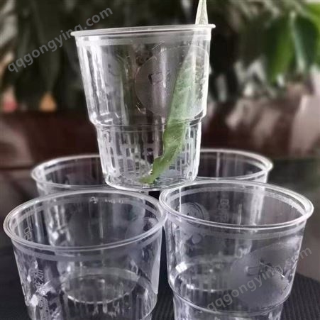塑料杯_Chuangguan/创冠_重10.5克梦花纹杯_出售生产商