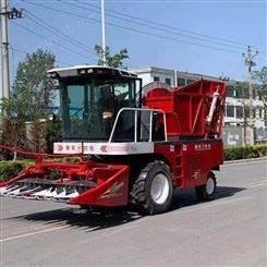 9QZS-2650青储收割机-玉米青贮收获机-豫东农牧质量保证型号全价格低