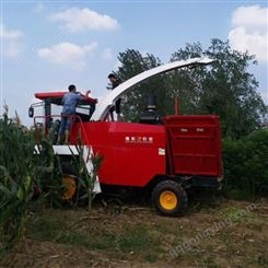 青储机厂家-玉米大型青储收割机-青海省-青贮机收割效果