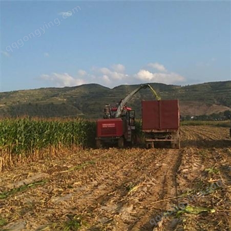 玉米秸秆青储机械豫东农牧棉花秸秆收割机-甘肃-玉米秸秆青储机生产厂家