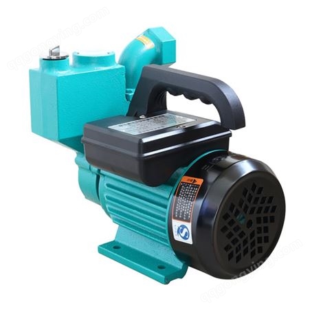 新界水泵 1WZB-65T铁壳旋涡式自吸泵井水提水 自来水增压泵 750W