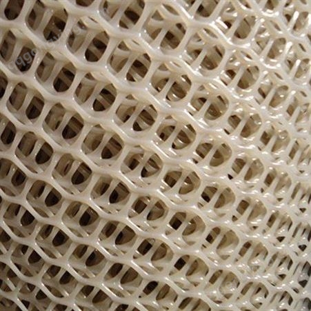 【润石】丝网厂家  专业定制防虫网    养殖塑料网   塑料网厂家