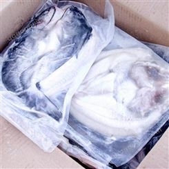 巢三珍冷凍開背清江魚鮰魚 烤魚店采購批發供應