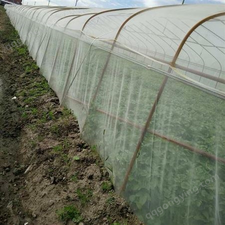 厂家供应 园艺防虫网 防虫网 蔬菜防虫网 采购大棚防虫网 可定制