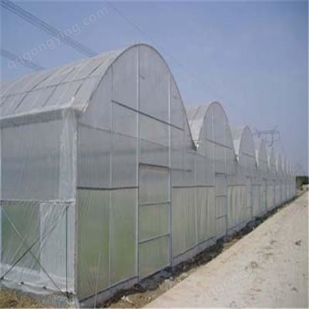 供应大棚防虫网 防虫网  蔬菜防虫网  防虫网厂