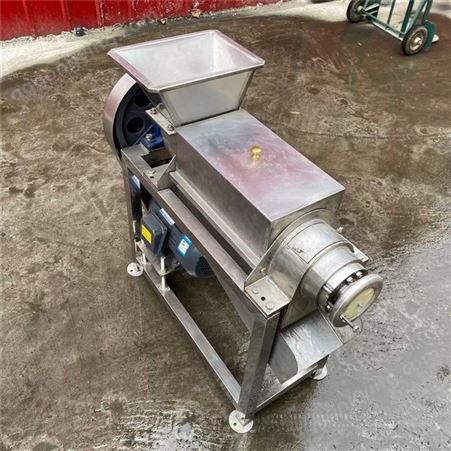 浙江生产电动压榨机 草莓自动榨汁机 蓝莓榨汁机器