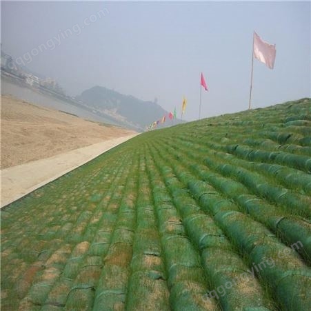 环保绿化生态袋 长丝涤纶生态袋 边坡加固 东吴