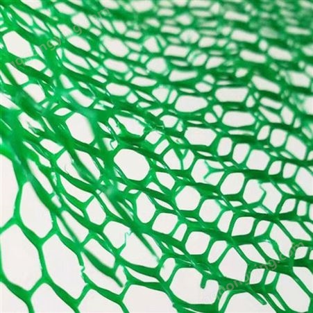 专注新土工材料 吉安三维植被网精选厂家  绿化护坡三维植被网