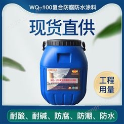 污水池化工池专用环保重度耐酸碱抗腐蚀 WQ-100复合防腐防水涂料