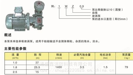 1WZ-0.9海水泵 单级单吸旋涡泵 输送海水和淡水 船用电机泵