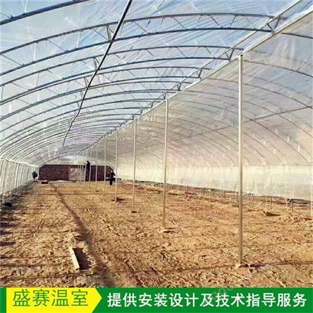 园区规划农业蔬菜大棚 单体双膜骨架大棚 钢架大棚材料