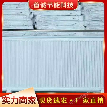 电暖器 蓄热式电暖器 电暖器生产 欢迎咨询