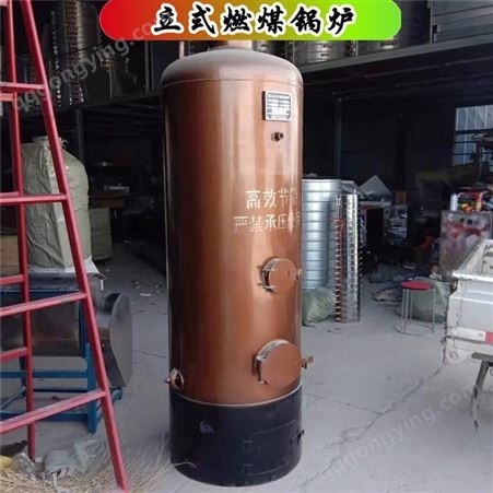 实体厂家 浴室液化气燃气热水供暖炉 蒸馒头蒸汽锅炉茶水炉 产气快气量大