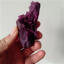紫薯 紫薯批发价格出售 山东紫薯基地