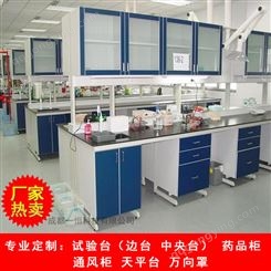 温江地区实验室通风柜 实验全钢实验台台