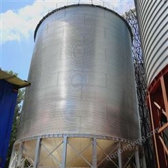 供应粮食钢板仓 大型立式碳钢储罐 现场量尺定做