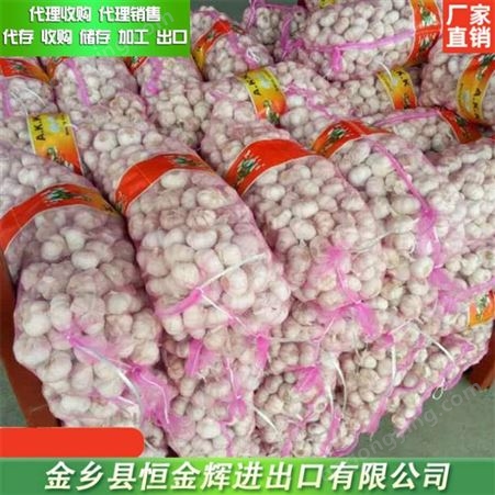 台州大蒜代收厂家 供应保鲜冷藏大蒜 杂交蒜米