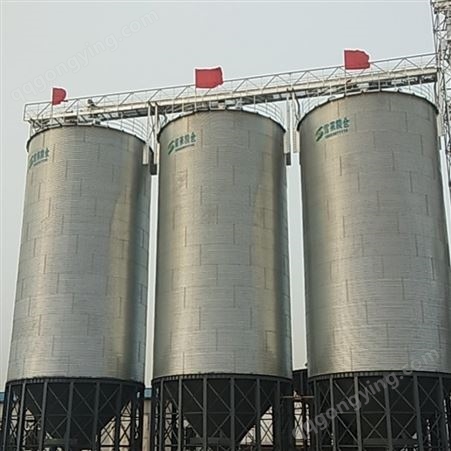 大豆储粮仓 玉米仓 装配式镀锌材质 大储存量 可定制