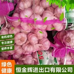 杭州大蒜行情价格 蒜米蒜粒蒜粉出售 独头蒜批发