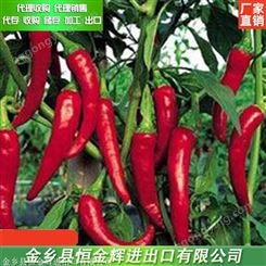干鲜辣椒批发价格 常年供应朝天椒 代收代储各种辣椒