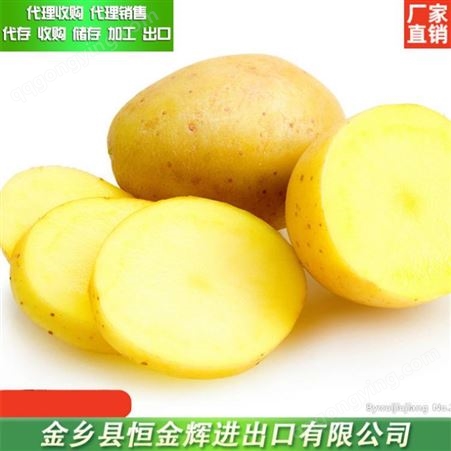 出口级土豆 土豆代存 源产地供货新鲜土豆