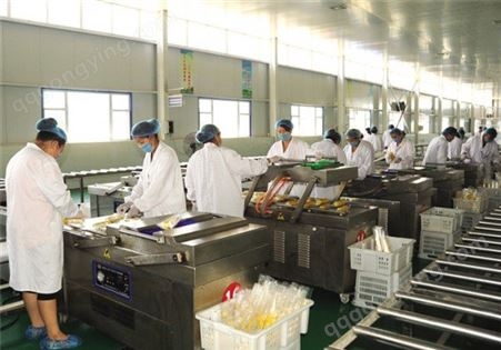上海嘉备 剁椒生产加工设备 辣椒丝加工设备生产线 罐头加工生产线