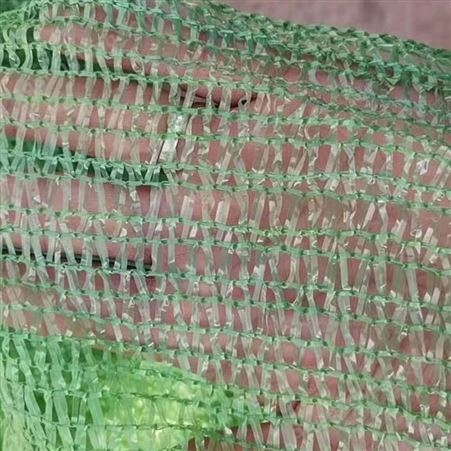 聚乙烯盖土网 绿色防尘盖土网遮阳网 建筑工地盖土网
