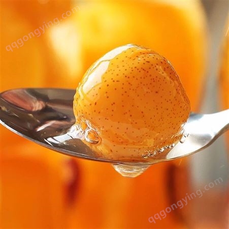 水果罐头 山楂罐头 橘子罐头 _直供