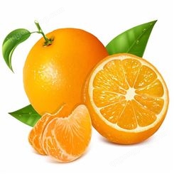 水果罐头 葡萄罐头 橘子罐头_质量放心