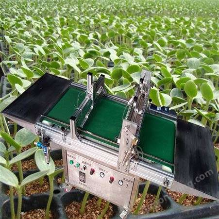 蔬菜穴盘育苗点种机 用于大棚农场 穴盘育苗播种机 适合多种种子穴盘育苗机价格