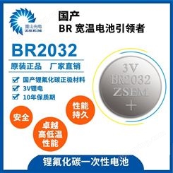BR2032 替代cr2032  胎压监测 车载空气净化器 汽车钥匙专用钮扣电池