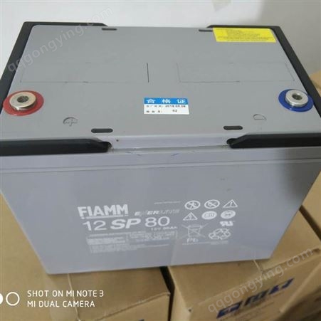 FIAMM非凡蓄电池FG20201 12V2Ah消防应急电源 信号系统
