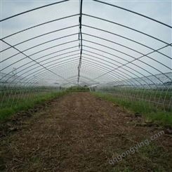坤荣科技 种植大棚管 安装搭建养猪大棚 绿色养殖大棚管