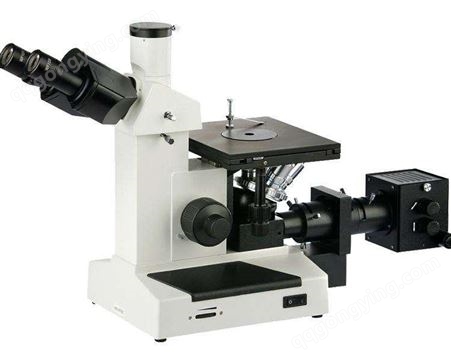倒置金相显微镜 免费咨询