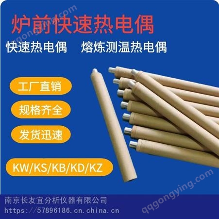 CYY-W330长友宜KB/KD/KZ-300/600mm热电偶 测温棒纸管纸筒