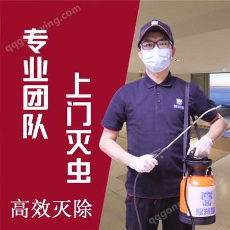 广州学校治理白蚁 校园消虫 杀防白蚁施工方法 消杀白蚁单位