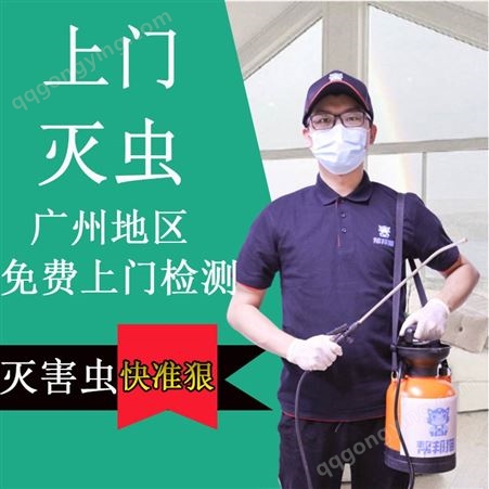 广州越秀白蚁防治机构 白蚁防治的范围 怎么判断家里有白蚁