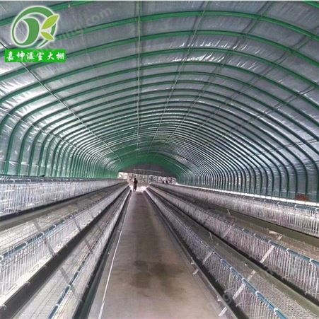 鸡场自动化恒温大棚 养鸡温室大棚 钢管拱形种植大棚建造 农业养殖大棚