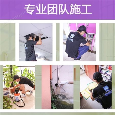 广州越秀白蚁防治机构 白蚁防治的范围 怎么判断家里有白蚁