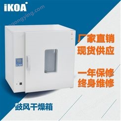 DHG-9053B数显干燥箱 50L工业烘箱 真空干燥箱 300℃高温试验箱上海煜南