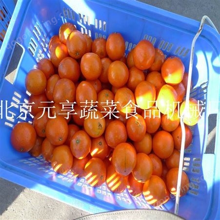 北京蔬菜瓜果切丝机厂 多功能切菜机厂 不锈钢切菜机设备-元享机械